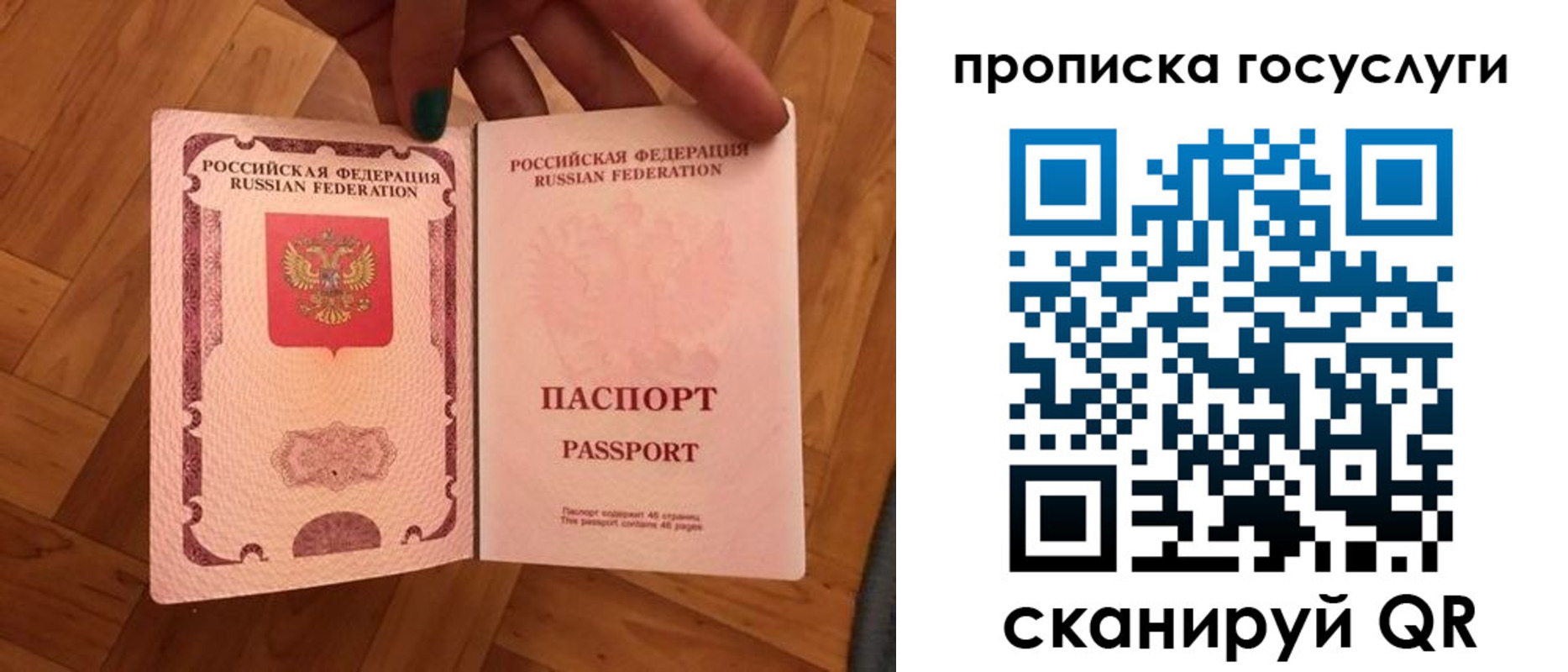 где прописаться в Вязьме